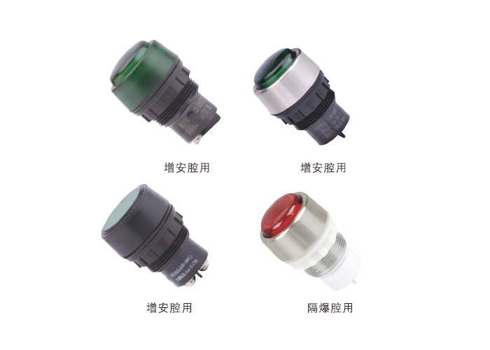 BD□系列防爆(防腐)指示灯